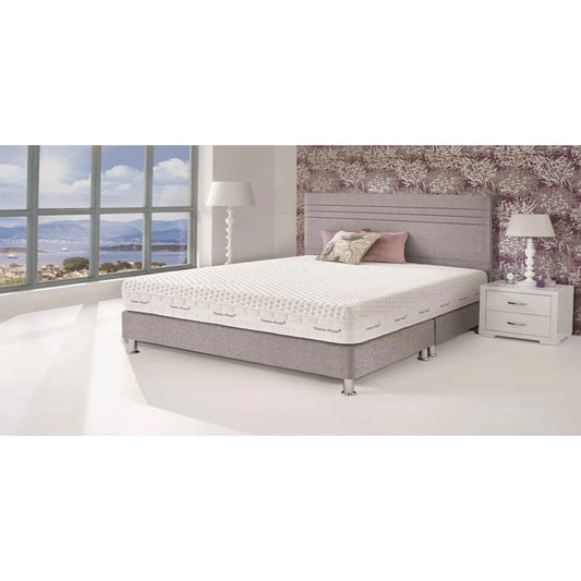 Memory Foam & Springs