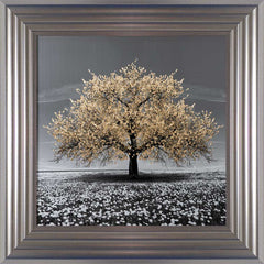 Champagne Cherry Tree Framed Wall Art 55x55cm