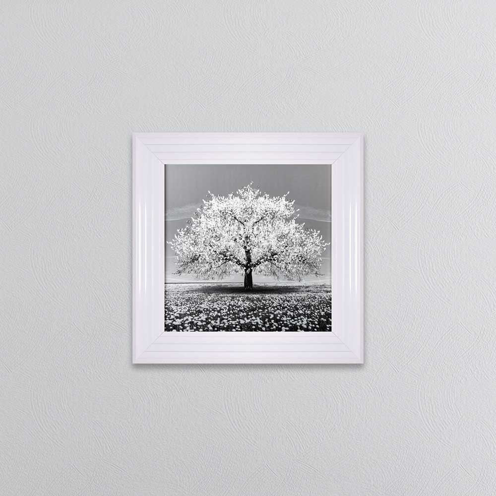 White Cherry Tree Framed Wall Art 55x55cm