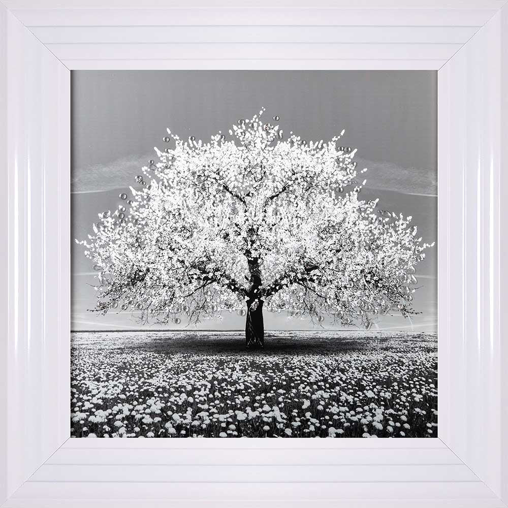 White Cherry Tree Framed Wall Art 55x55cm