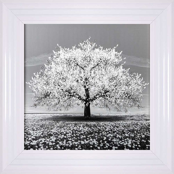 White Cherry Tree Framed Wall Art 55x55cm