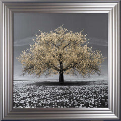 Champagne Cherry Tree Framed Wall Art 75x75cm