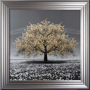 Champagne Cherry Tree Framed Wall Art 75x75cm