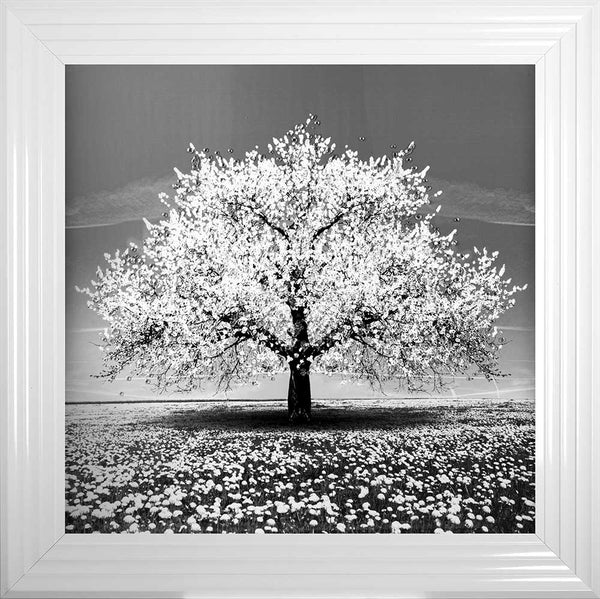 White Cherry Tree Framed Wall Art 75x75cm