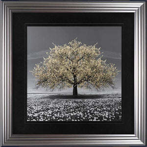 Champagne Cherry Tree Framed Wall Art 90x90cm