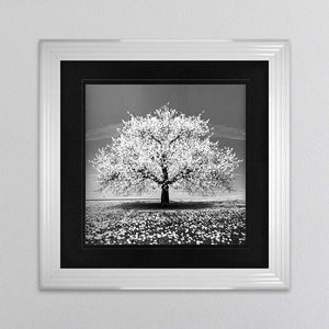 White Cherry Tree Framed Wall Art 90x90cm