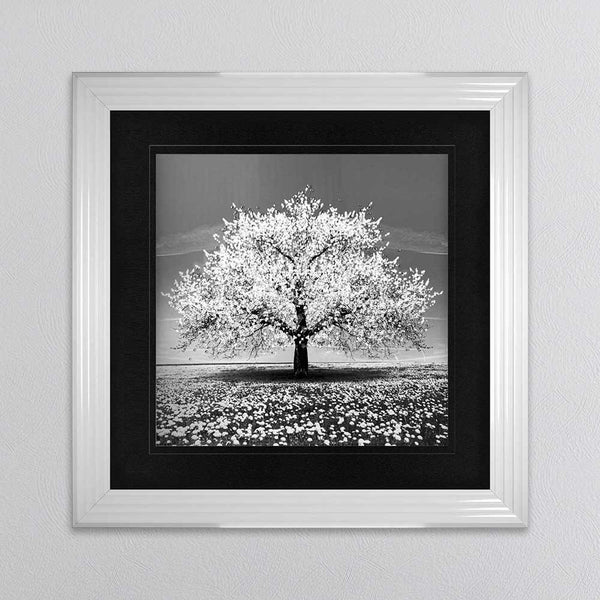 White Cherry Tree Framed Wall Art 90x90cm