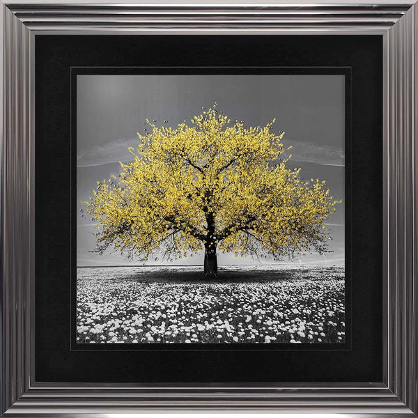 Yellow Cherry Tree Framed Wall Art 90x90cm