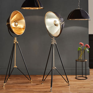Elsie Black & Silver Tripod Floor Lamp