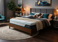 Mlily Pocket Memory Mattresses: The Largest In-Store Selection