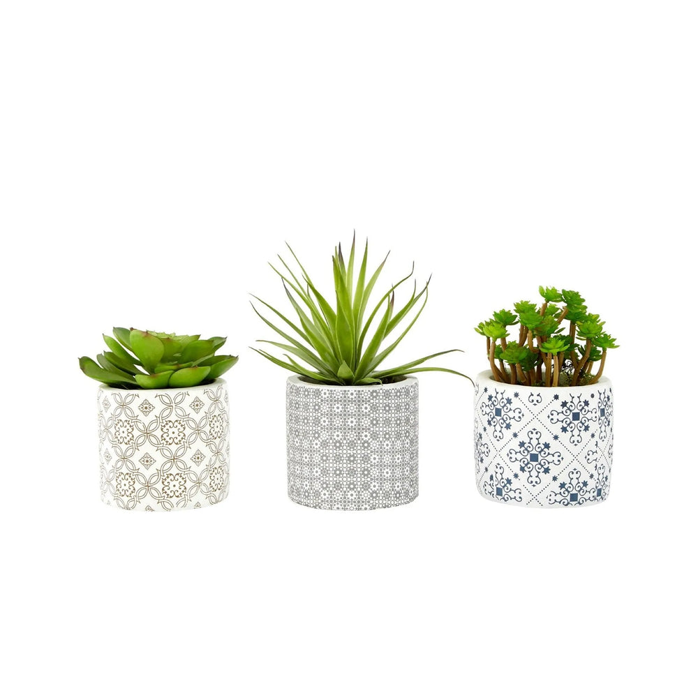 Set of 3 Succulents