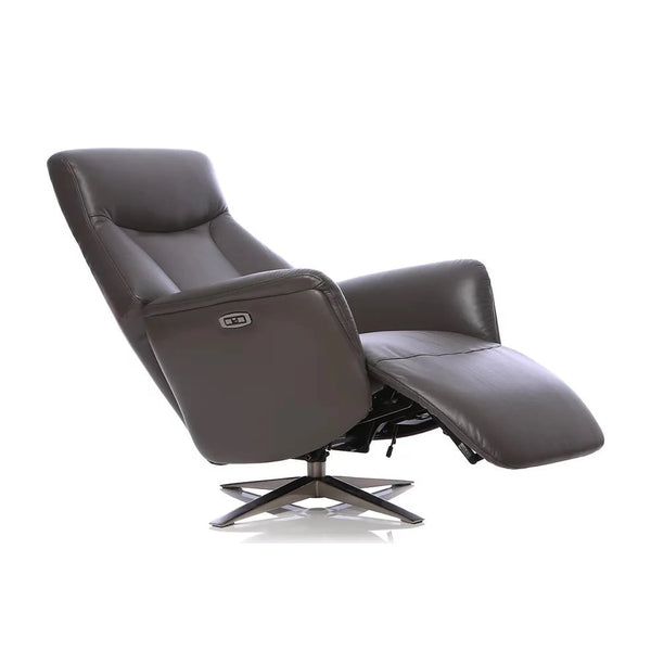 Hamley Leather Power Reclining Swivel Chair