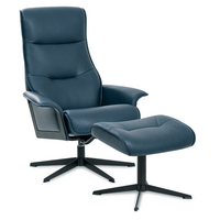 Siri Panelled Back 1000 Recliner Leather