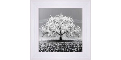 White Cherry Tree Framed Wall Art 55x55cm 